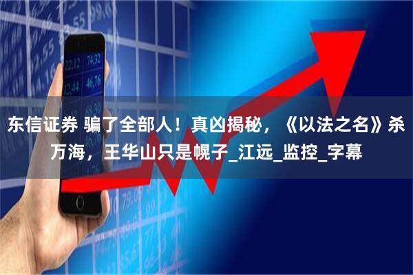 东信证券 骗了全部人！真凶揭秘，《以法之名》杀万海，王华山只是幌子_江远_监控_字幕